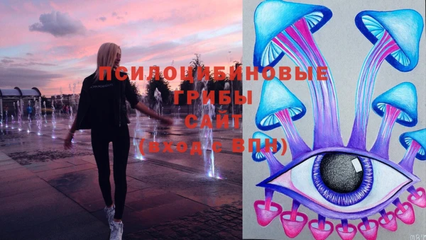 Альфа ПВП Аркадак