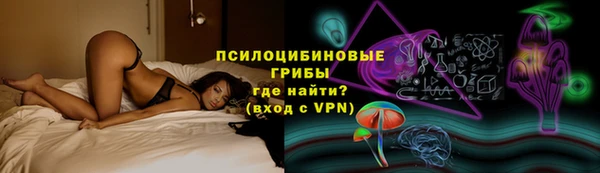 Альфа ПВП Аркадак