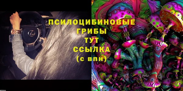 Альфа ПВП Аркадак