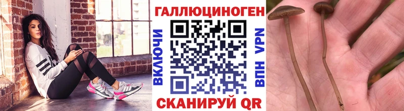 Псилоцибиновые грибы мухоморы  Хотьково 